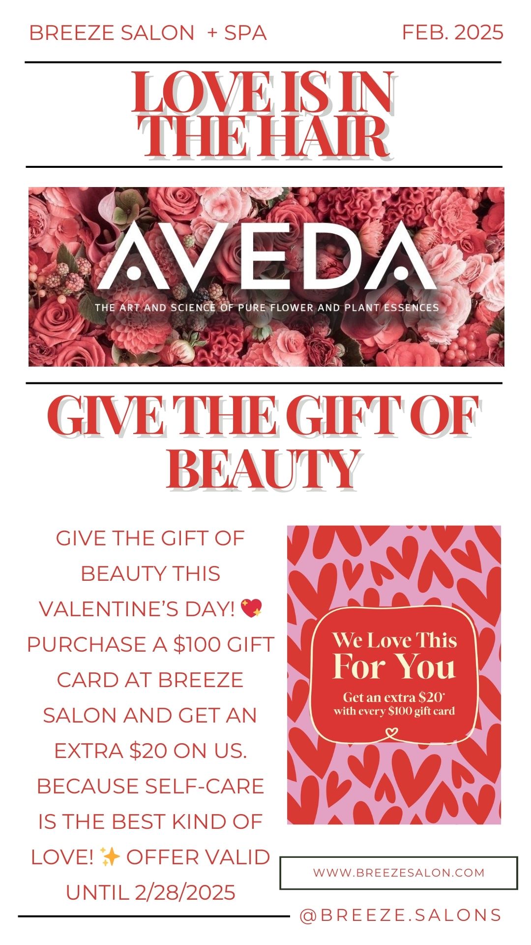 Promotional graphic for Breeze Salon + Spa featuring a $100 gift card offer, with floral background and Valentine's Day design elements. Offer valid until February 28, 2025.